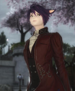Rommie as a Catte Rommie as a Catte